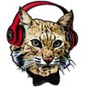 DJ Bobcat