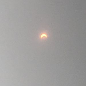 Eclipse photos with my iPhone
